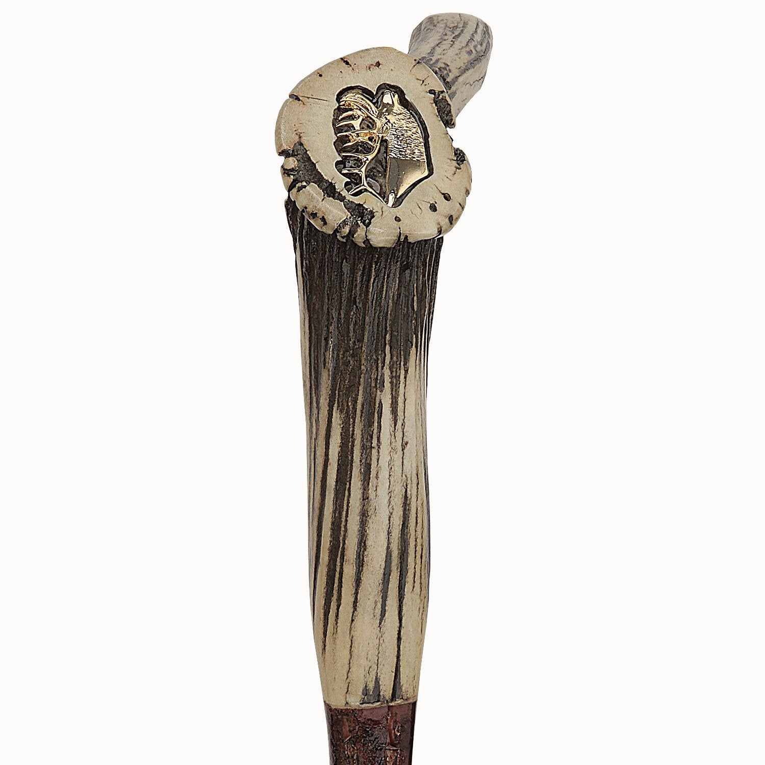 Royal Canes Elk Horn Handle with Bull Penis Shaft Walking Cane
