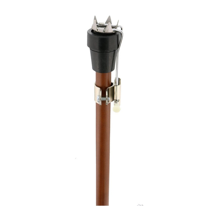 Ice Walking Canes and Winter Weather Gear – Fashionable Canes
