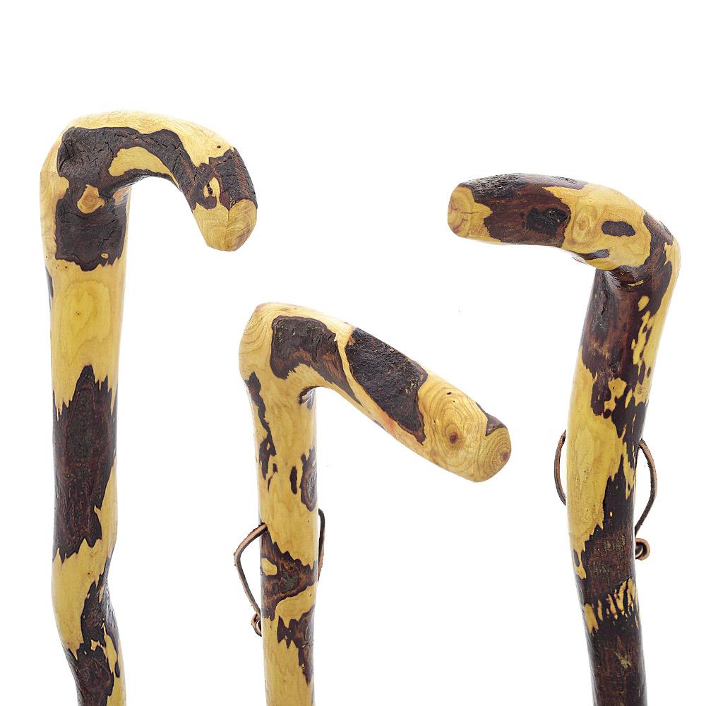 Whistle Creek Hawthorne Natural Root Walking Cane