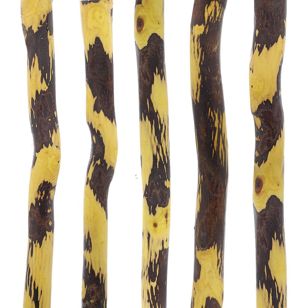 Whistle Creek Hawthorne Natural Root Walking Cane